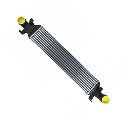 Mercedes Benz Intercooler A2465000100 W246