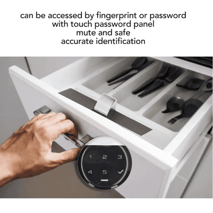 Smart Biometric Cabinet Lock